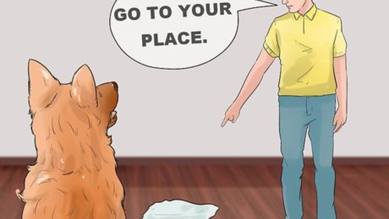 How to Be Intimate with Your Partner when You Have a Protective Dog
