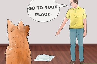 How to Be Intimate with Your Partner when You Have a Protective Dog