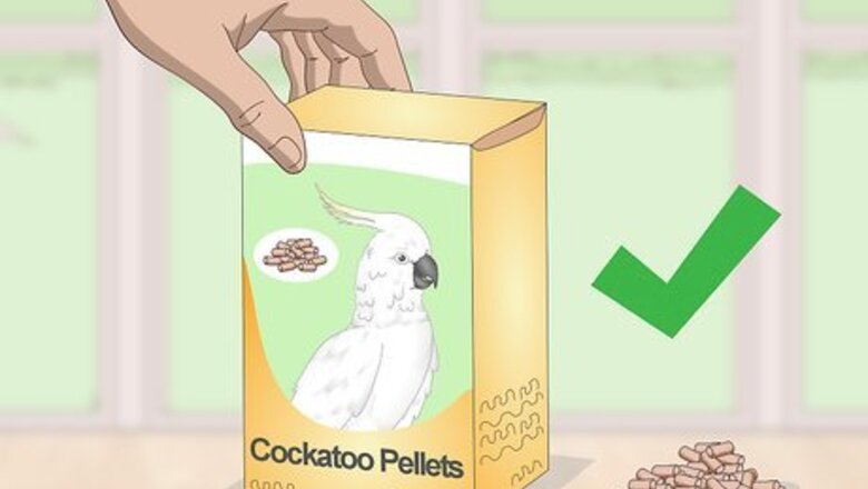 How to Feed a Cockatoo