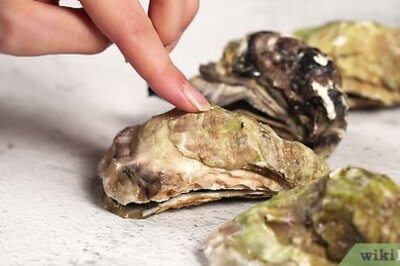 How to Freeze Oysters