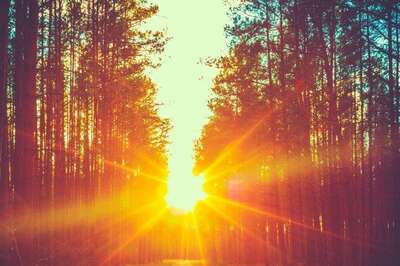 Aaj Ka Panchang, 27 April, 2024: Tithi, Vrat, and Today’s Shubh, Ashubh Muhurat