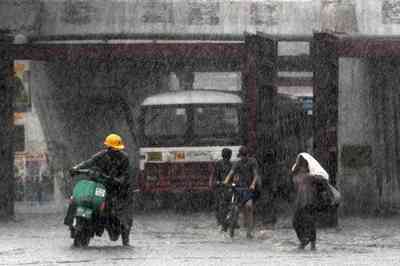 Normal and Excess Rainfall in 89% of the Country, Says IMD