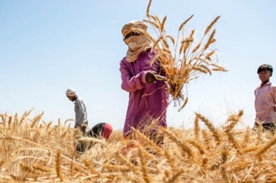 Monsoon-Hit Crops Could Pull Down GDP in Second-Half of Fiscal 2024