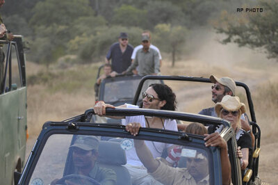 Move to shield wildlife from Katy-Russell wedding