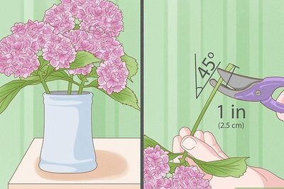 How to Perk Up Wilting Flowers