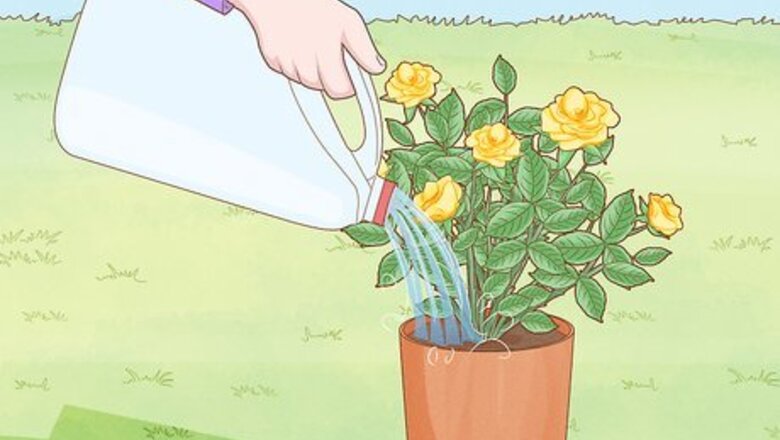 How to Reuse Milk Jugs in the Garden