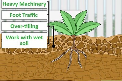 How to Fix Compacted Soil
