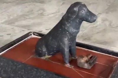 Unique Temple in UP Village Worships Dogs: A Tale of Loyalty and Belief