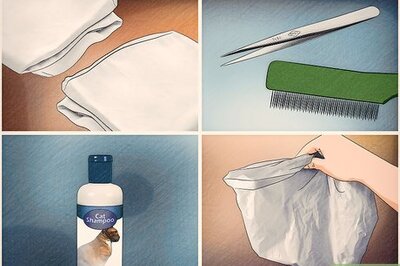 How to Shampoo a Kitten for Fleas