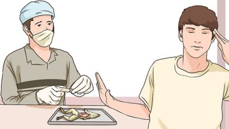 How to React when You Feel Faint During a Dissection