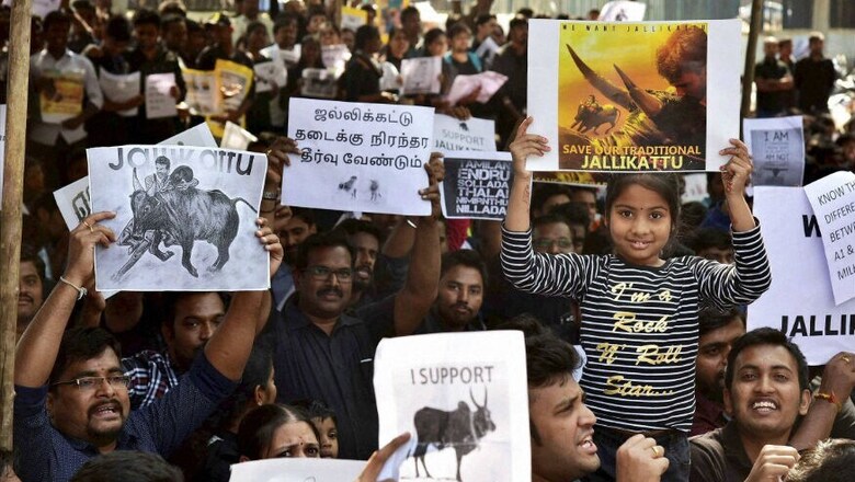 After Jallikattu's Success in Tamil Nadu, Andhra Youth to Protest for Special Status