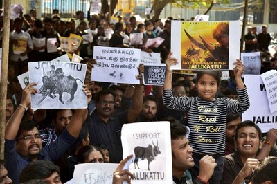 After Jallikattu's Success in Tamil Nadu, Andhra Youth to Protest for Special Status