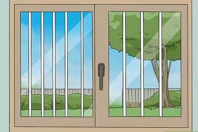 How to Prevent Birds From Flying Into Windows