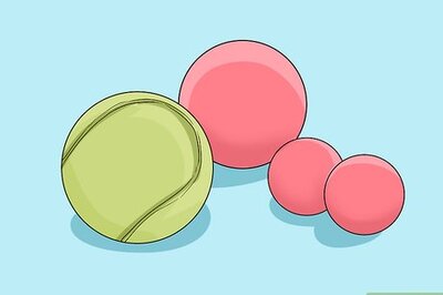 How to Choose Toys for Your Ferret