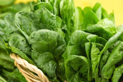 Pro Tip: Keep Spinach Fresh For A Month With This Simple Paper Towel Trick