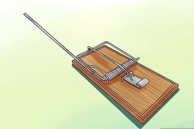 How to Adapt a Mousetrap Car for Speed