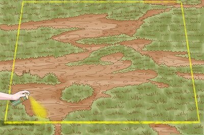 How to Level and Seed a Lawn