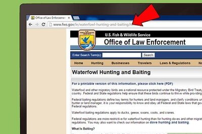 How to Field Dress a Duck