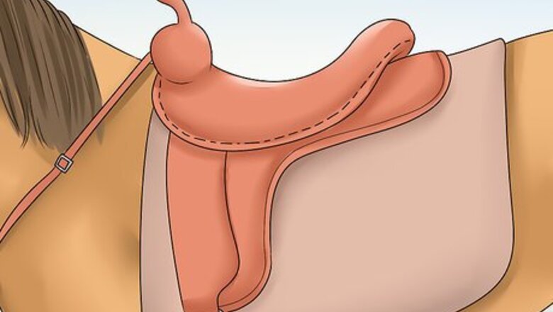 How to Care for a Gaited Horse