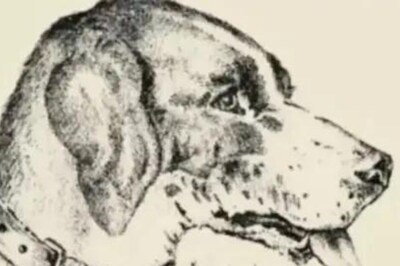 Can You Find A Human Face In This Optical Illusion Sketch Of A Dog?