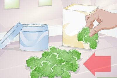 How to Make Silkworm Chow