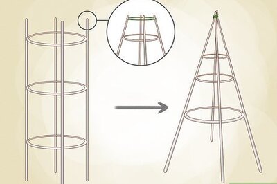 How to Make a Grape Vine Tree