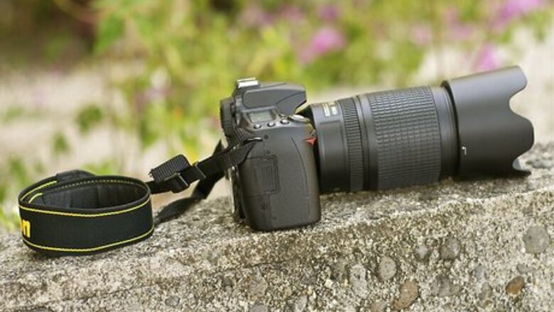 How to Be a Wildlife Photographer