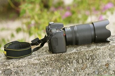 How to Be a Wildlife Photographer