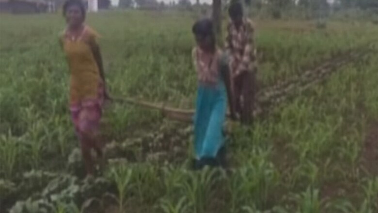 Poor MP Farmer Uses Daughters in Place of Oxen to Pull Plough