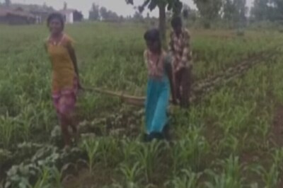 Poor MP Farmer Uses Daughters in Place of Oxen to Pull Plough