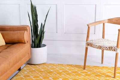 Effective Ways To Detox and Declutter Your Living Space