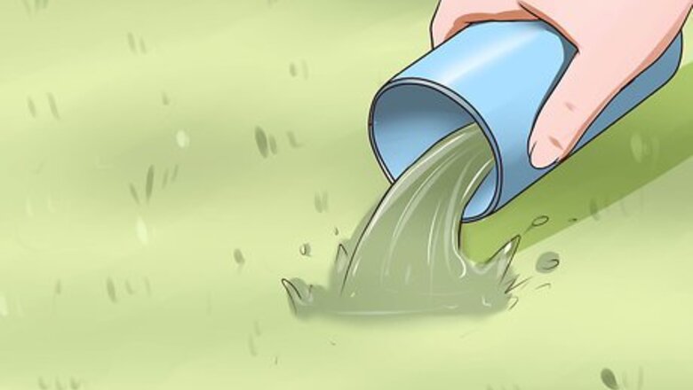 How to Keep Pet Urine from Damaging Lawn
