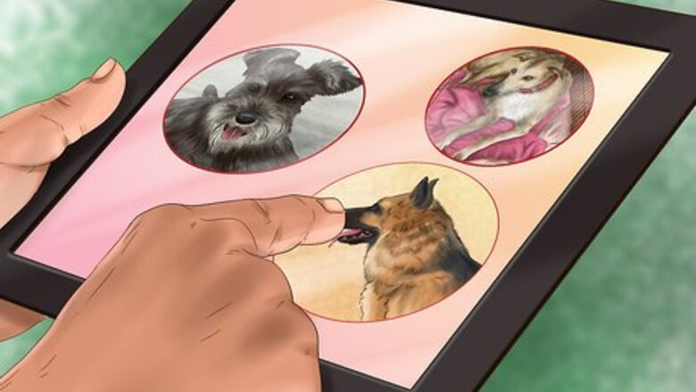 How to Choose a Dog Breeder