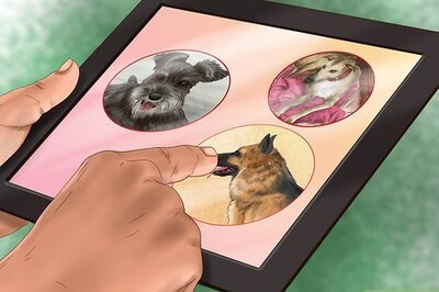 How to Choose a Dog Breeder