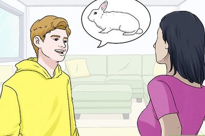 How to Keep a Rabbit in an Apartment