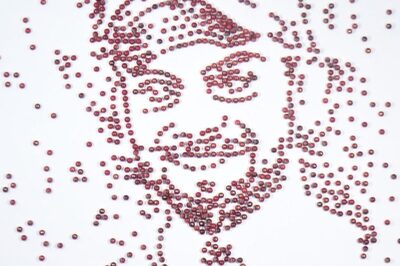 Mural of Virat Kohli's Face Created by Using 5000 Cricket Balls