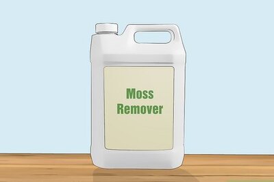 How to Remove Moss From a Roof: Tips to Kill & Get Rid of Moss Permanently