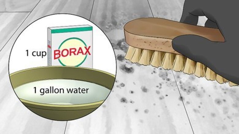 How to Clean Black Mold