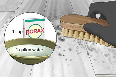 How to Clean Black Mold