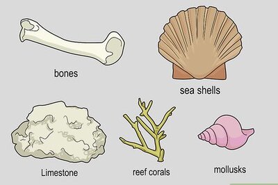 How to Make Cement in the Wild
