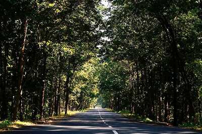 People Will Soon Have To Carry Oxygen Cylinders, Warns NGT