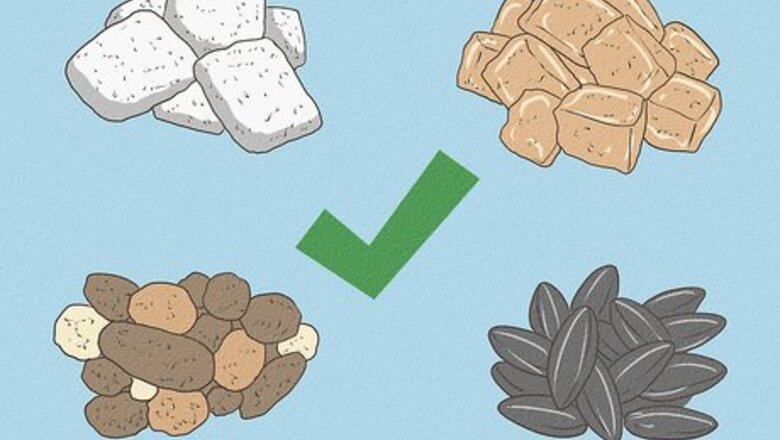 How to Make Emergency Baby Bird Food