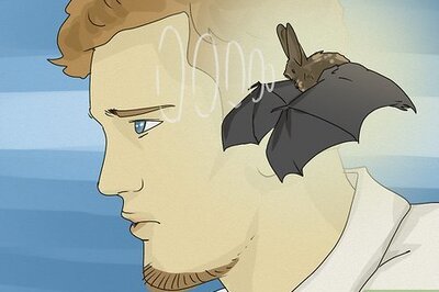 What Do Dreams About Bats Mean?