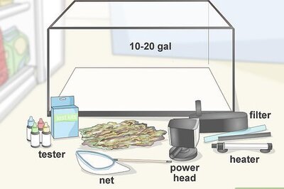 How to Quarantine Freshwater Fish
