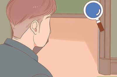 How to Find a Lost Cat