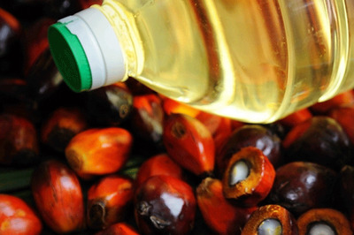 Curbs on Palm Oil Imports Product-specific, Not Country-specific: MEA
