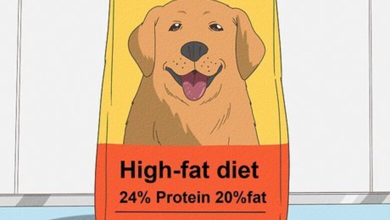 Pancreatitis in Dogs: Symptoms, Treatments, & More