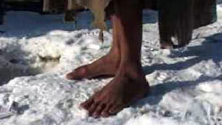 Cold wave kills crops, farmers' hopes
