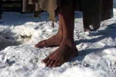 Cold wave kills crops, farmers' hopes