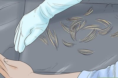 How to Clean Cat Beds